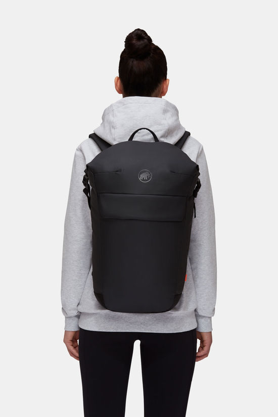 Mammut Seon Courier 20 Rugzak