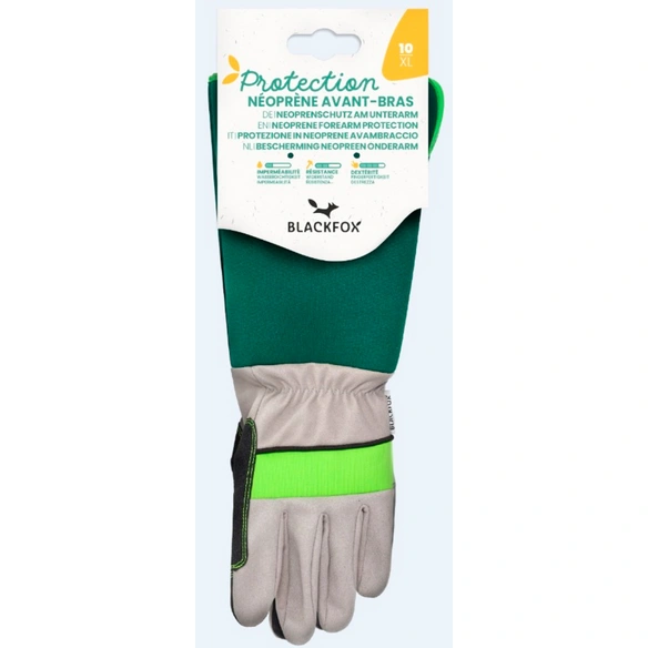 Handschuhe »Buisson«, Gr. 8