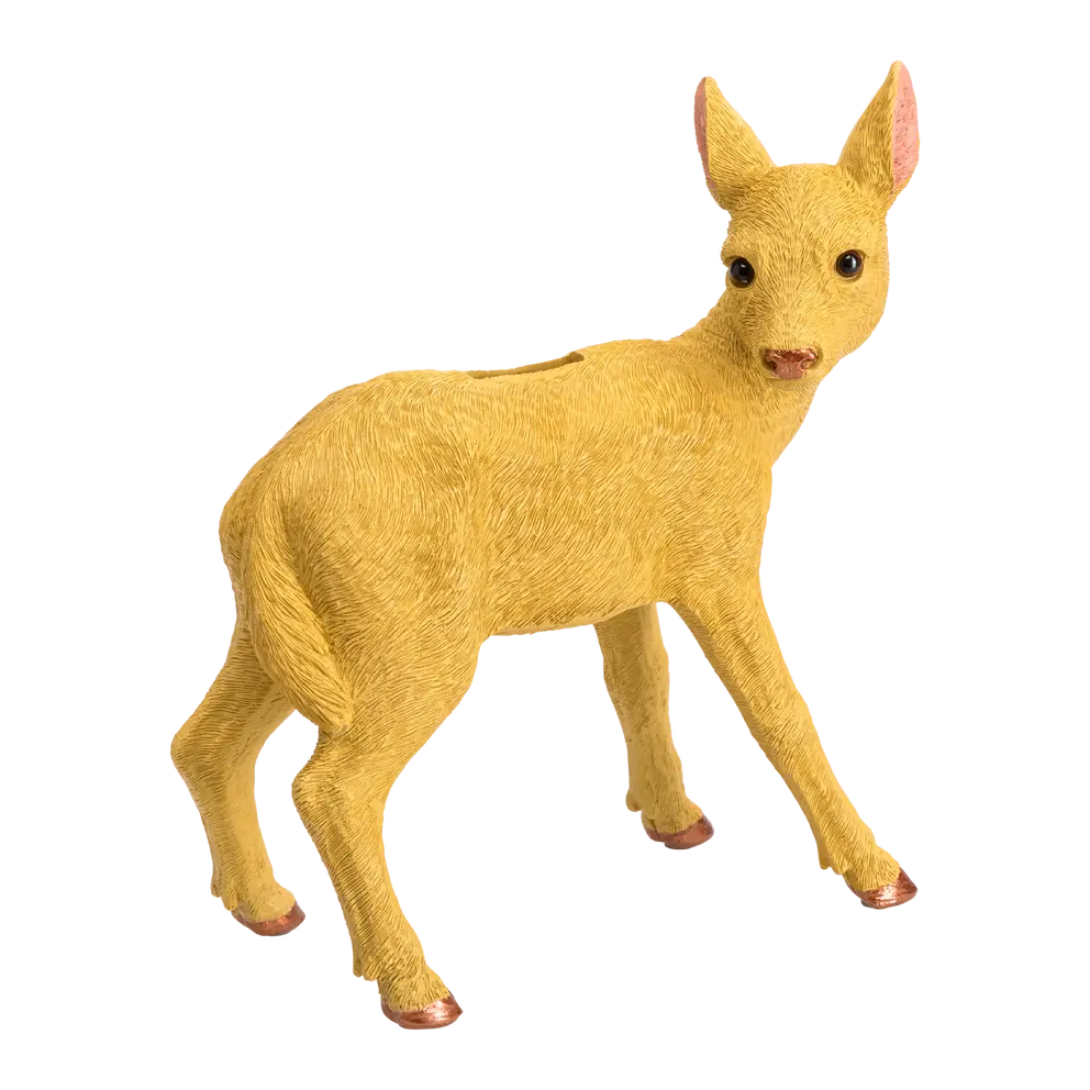 Kässeli Deer