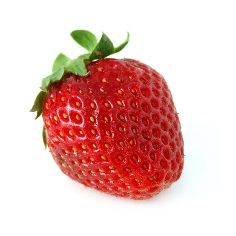 Fraisier Mme Moutot en pot