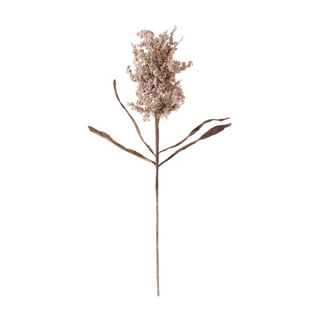 FLOR ALVORADA