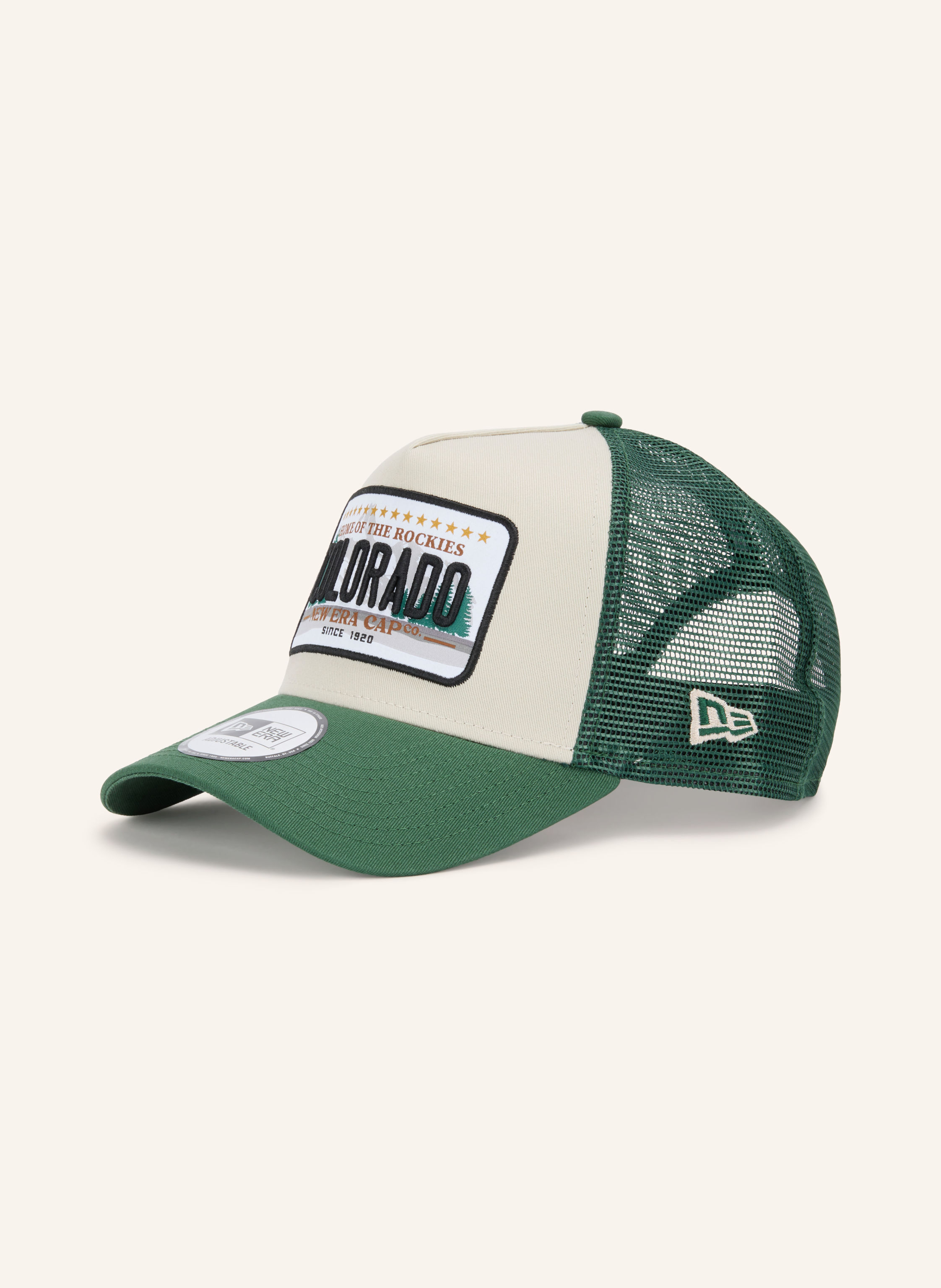 NEW ERA Cap LICENCE PLATE TRUCKER