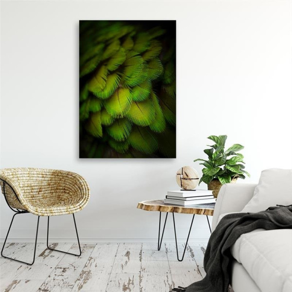 Feeby Obraz na płótnie Ozdobne zielone pióra 40x60