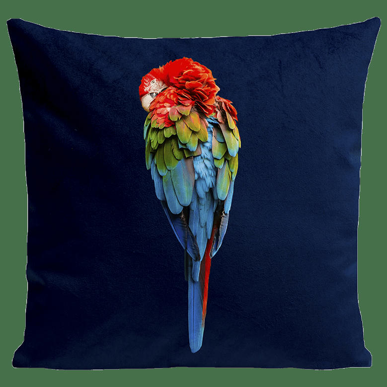 - Coussin tropical perroquet suédine bleu 40x40cm