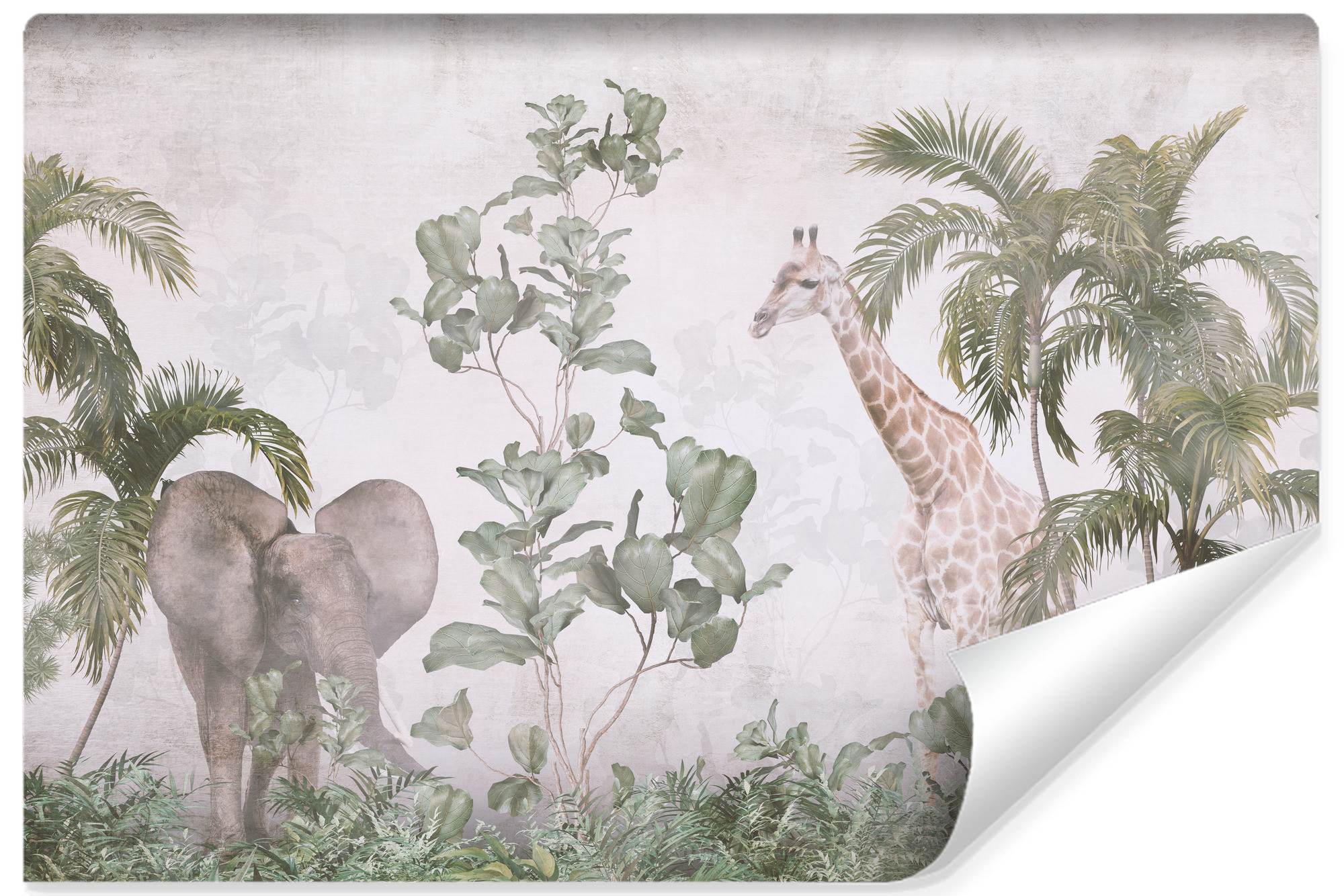 Fototapeta Las Tropikalny We Mgle Mural 90x60cm