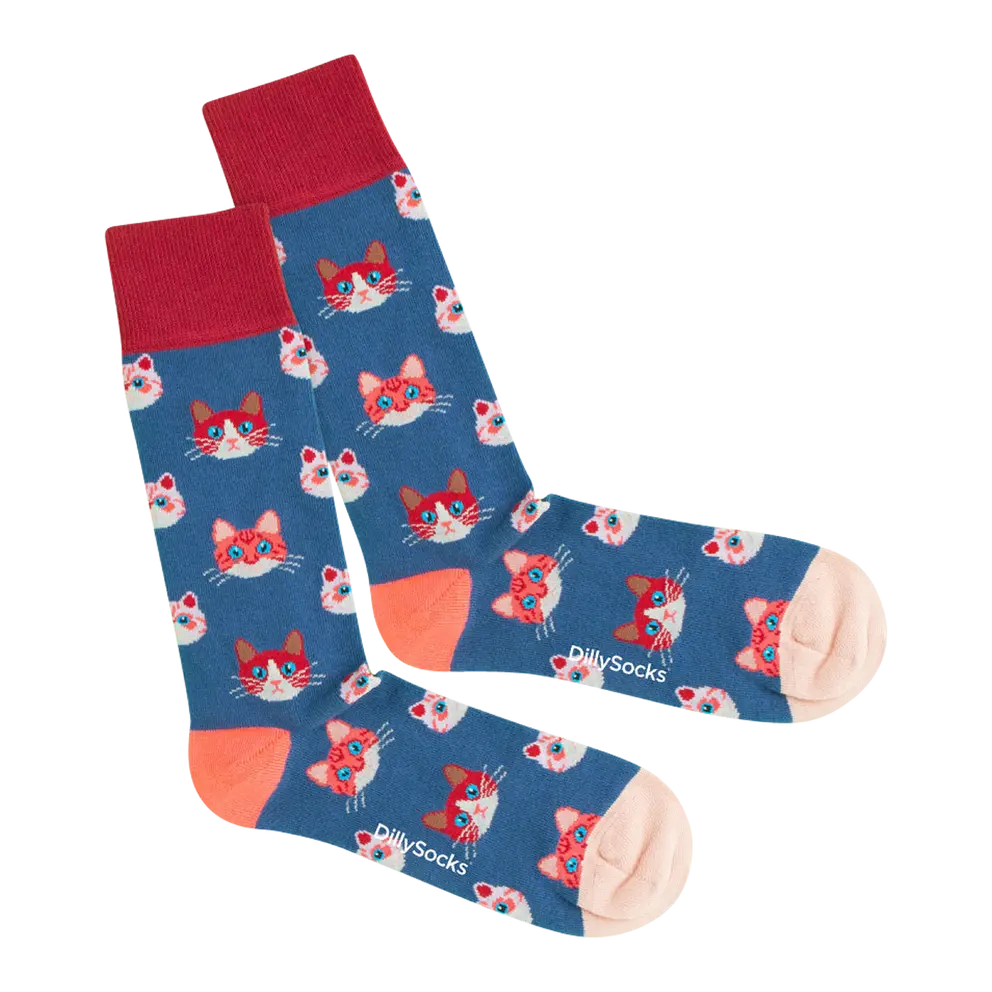 Socken Sky Kitten