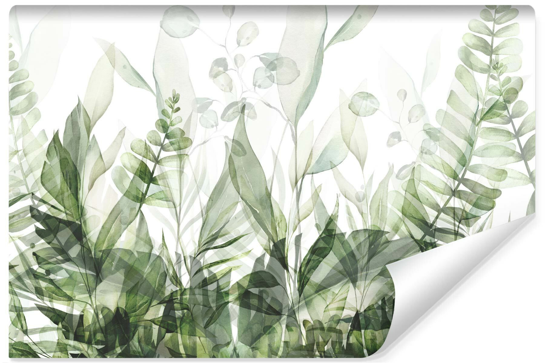 Fototapety Do Sypialni Zielone Liście Tropikalne 90x60cm