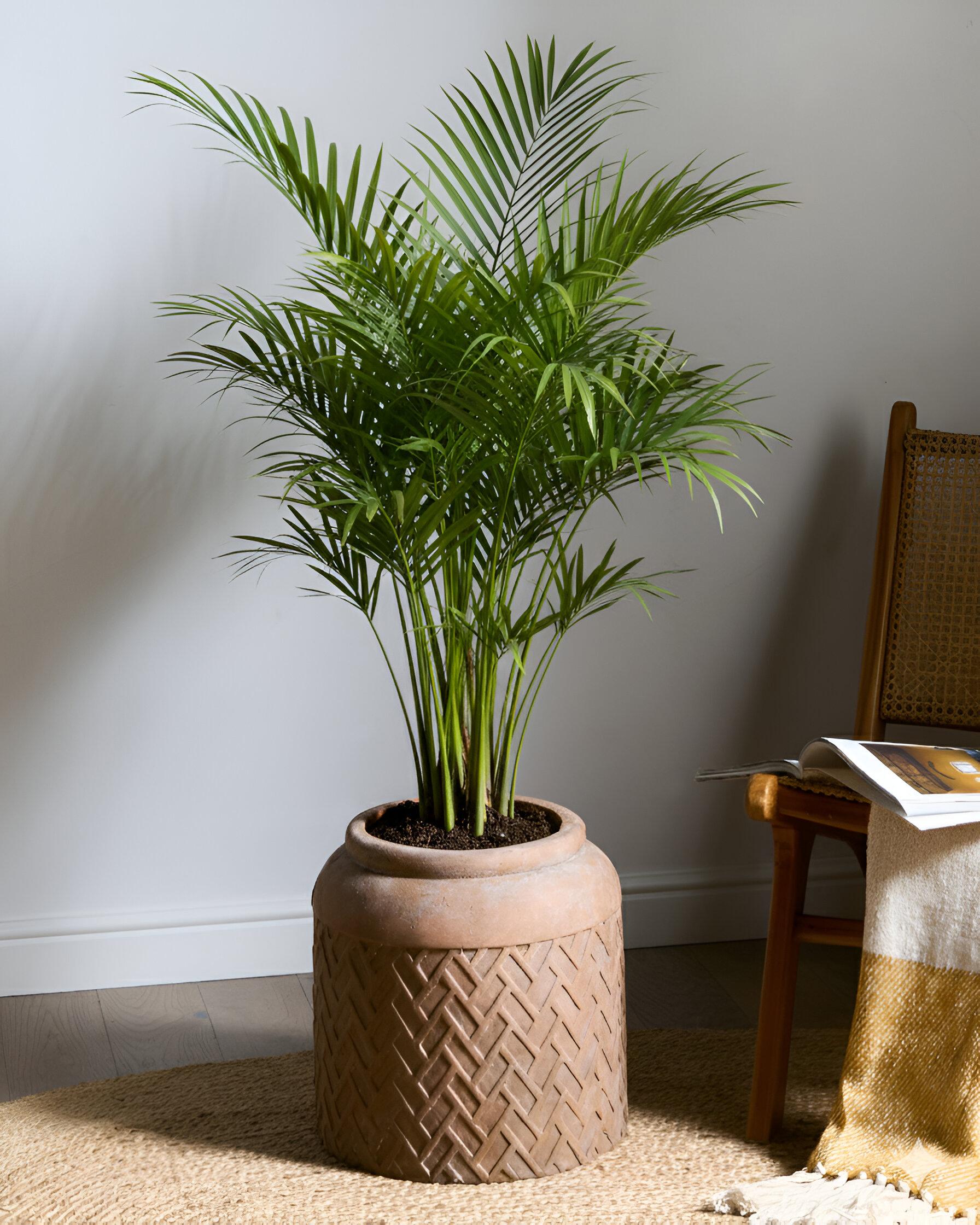 Plant Pot GERAKAS 35 cm Beige
