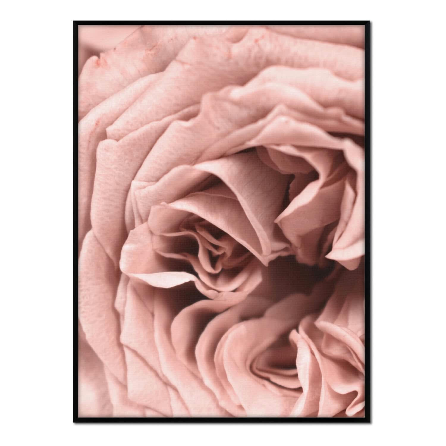 FLORES - Affiche avec cadre noir - Détail rose - 50x70