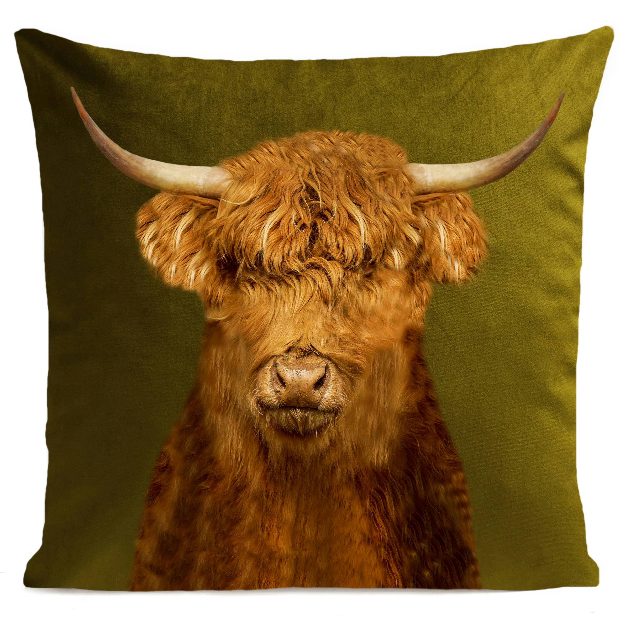 - Coussin campagne vache des highlands vert 40x40cm