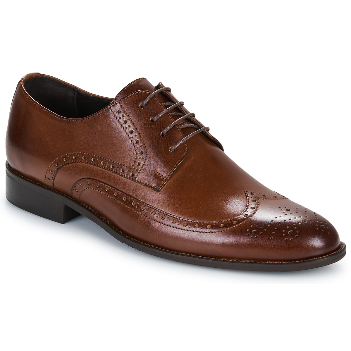 So Size - RAVONE - Brown