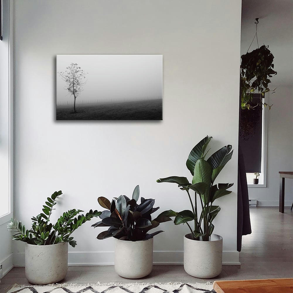 - Tableau impression sur toile le brouillard 60x90cm