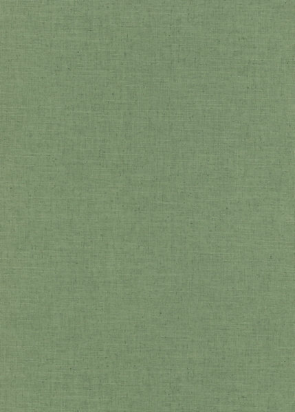 Papier peint vinyle sur intissé uni Casual vert L.1005 x l.53cm Erismann