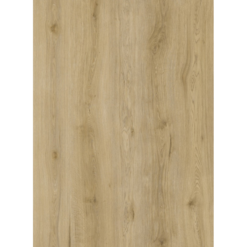 Sol en vinyle Europe Strange chêne naturel 2,2 m² THYS