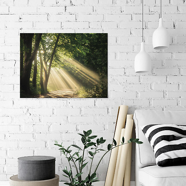 Impression sur toile foret nature moderne 120x80 cm xxl tableau décoration deco murale intissée pour salon chambre cuisine