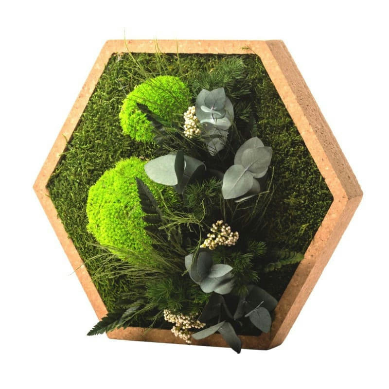 - Tableau végétal nature hexagonal L 34 X 29 cm