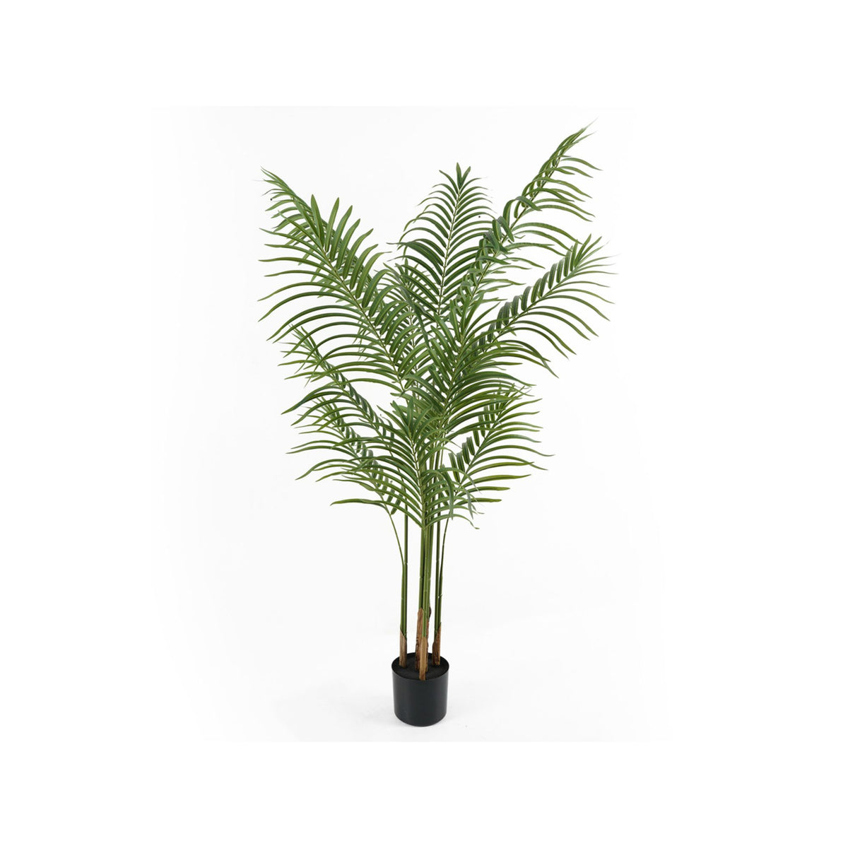 Present Time kunstplant Kwai Tree - groen - 60x60x140cm