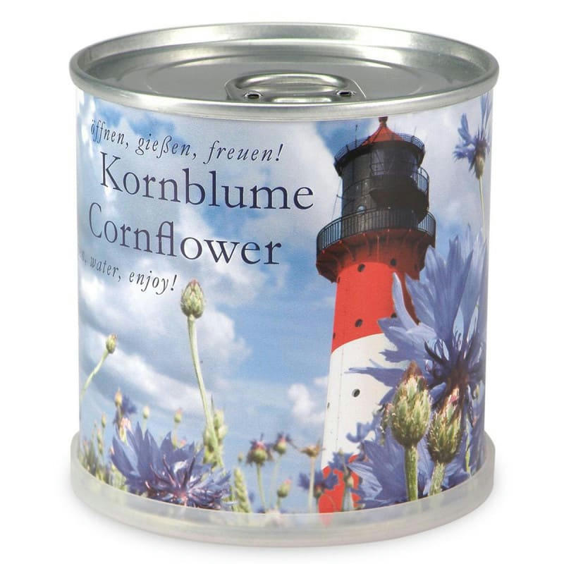 - Bleuet à faire pousser en boite