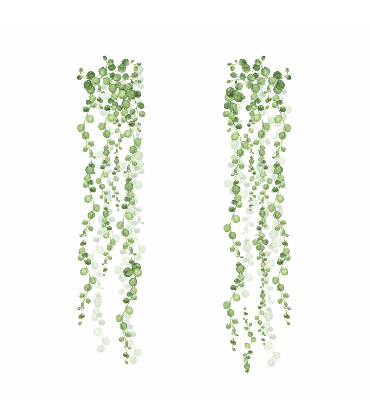 York Wallcoverings Wall Decals String of Pearls Vine