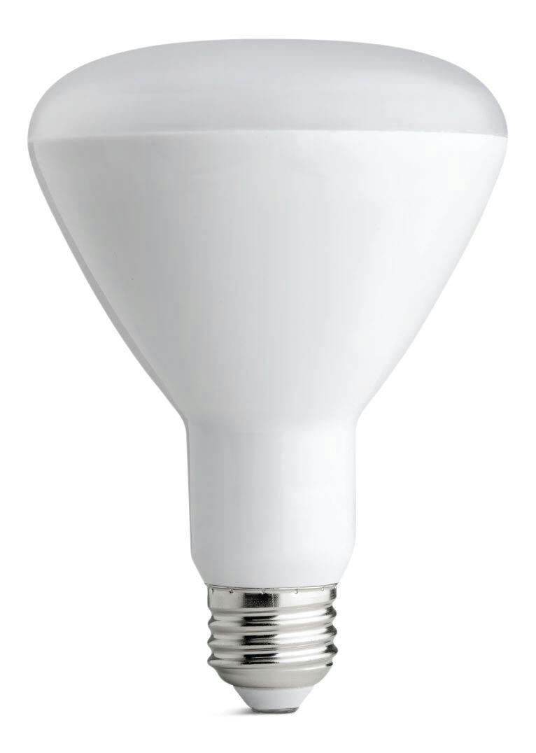NOMA BR30 E26 Base Non-Dimmable LED Flood Light Bulbs, 650 Lumens, Assorted Colours, 65W, 2-Pk