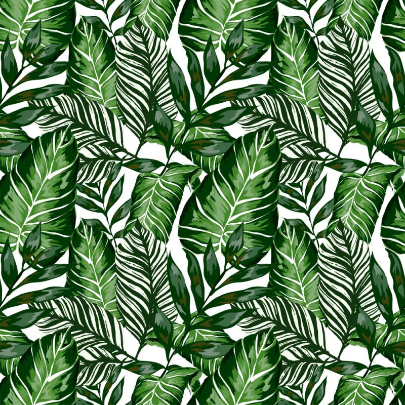Feuille adhésive House Plants 67,5 x 200 cm JOY