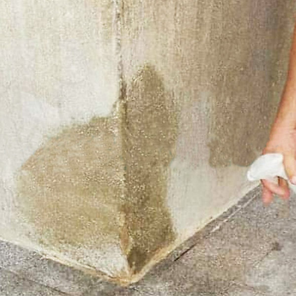 Hidrorin (1L) - Répulsif urinaire qui protège les trottoirs et les façades. Empêche taches et les odeurs désagréables de l'urine
