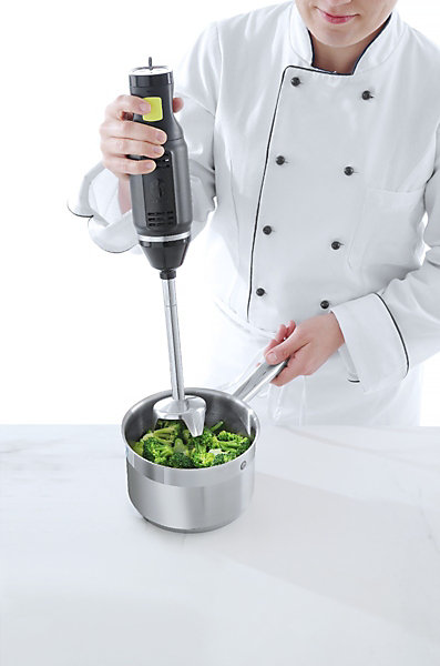 Mixeur Plongeur Blend - 1 à 8L - 6 Vitesses - Hendi
