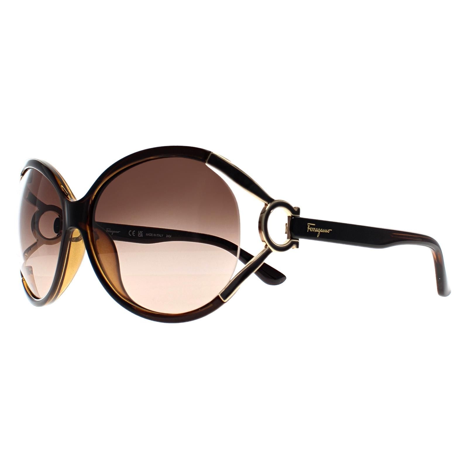 Salvatore Ferragamo Round Dark Brown Brown Grey Gradient SF600S