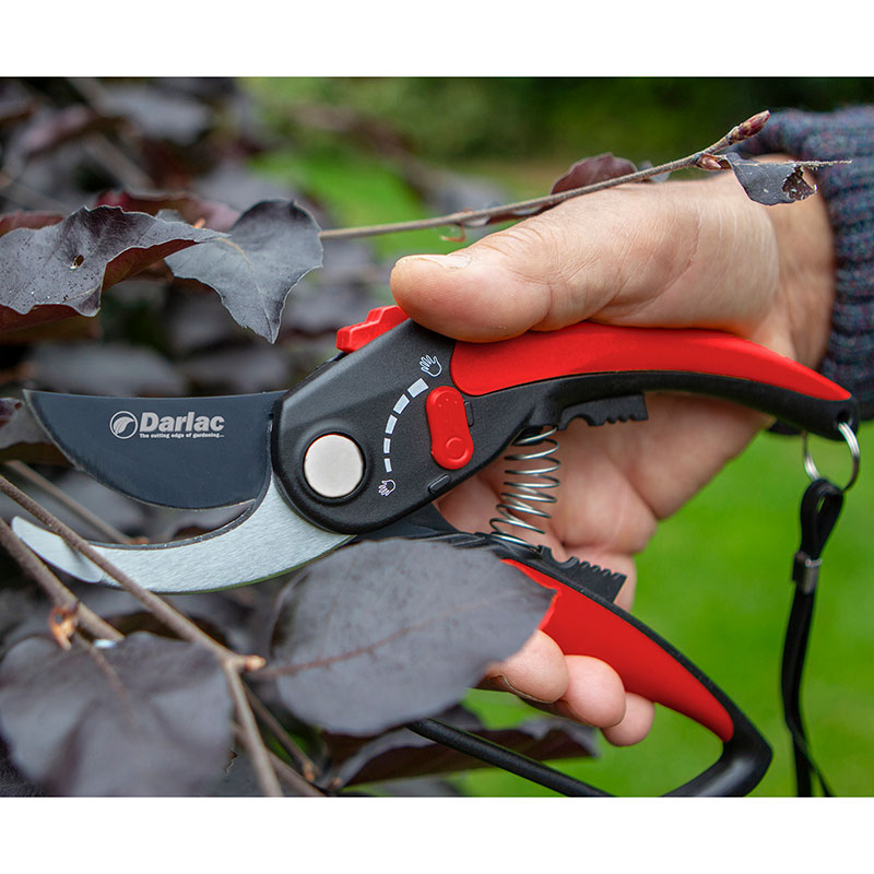 Tvåskärssekatör, Adjustable Bypass Pruner 25 mm