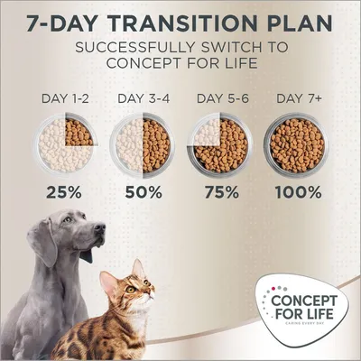 Concept for Life Maine Coon Adult