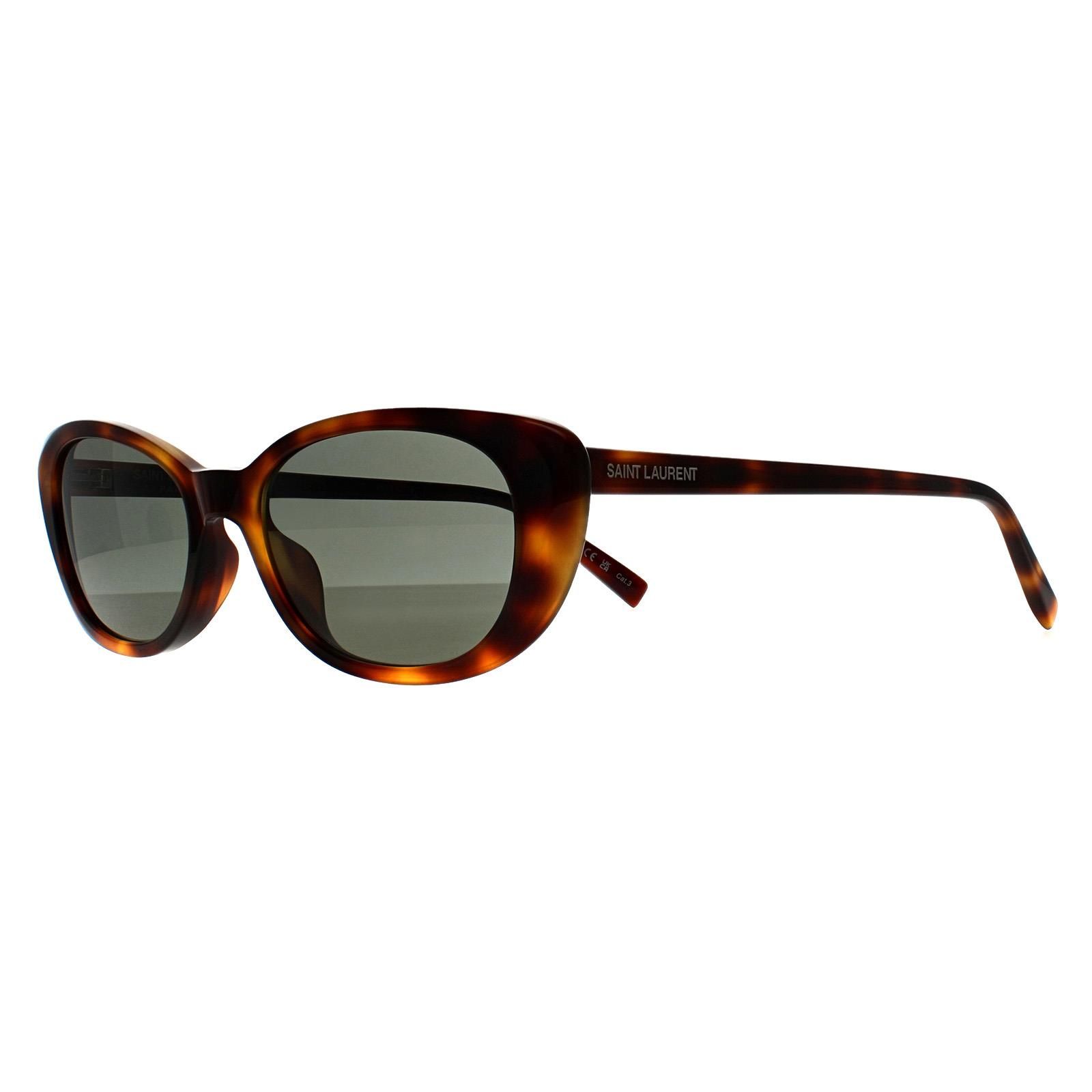 Saint Laurent Cat Eye Havana Grey SL 822