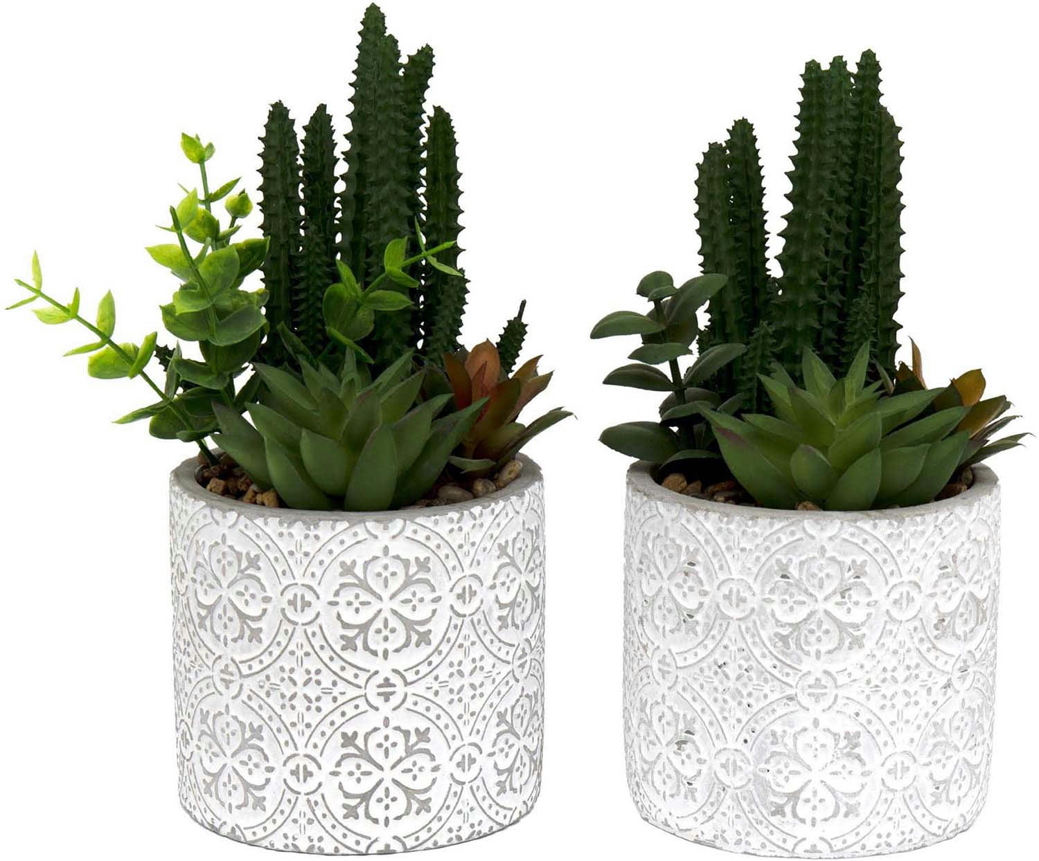 - Plante succulente artificielle pot en ciment (lot de 2)