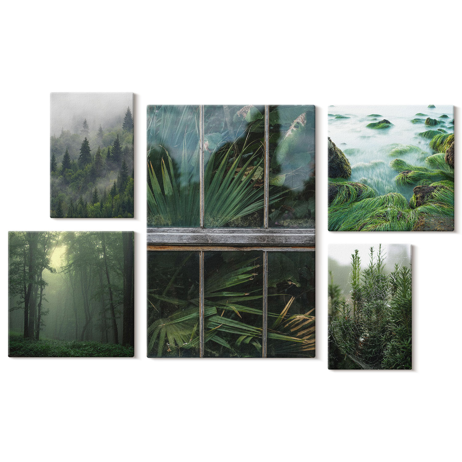 Obraz canvas 5 części Pejzaż lasu|20x30, 30x30, 40x60|Wallfluent