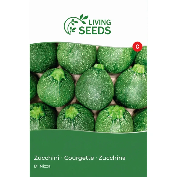 Zucchini, Di Nizza