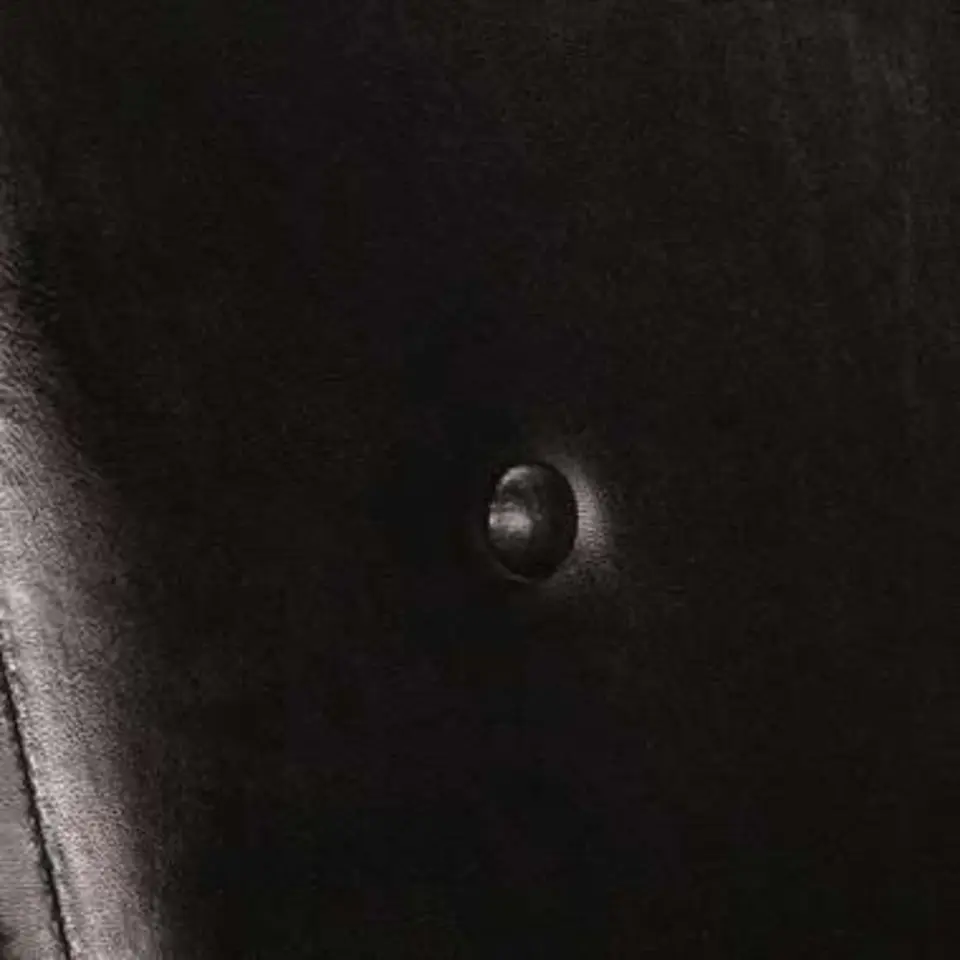 vidaXL Fauteuil echt leer zwart