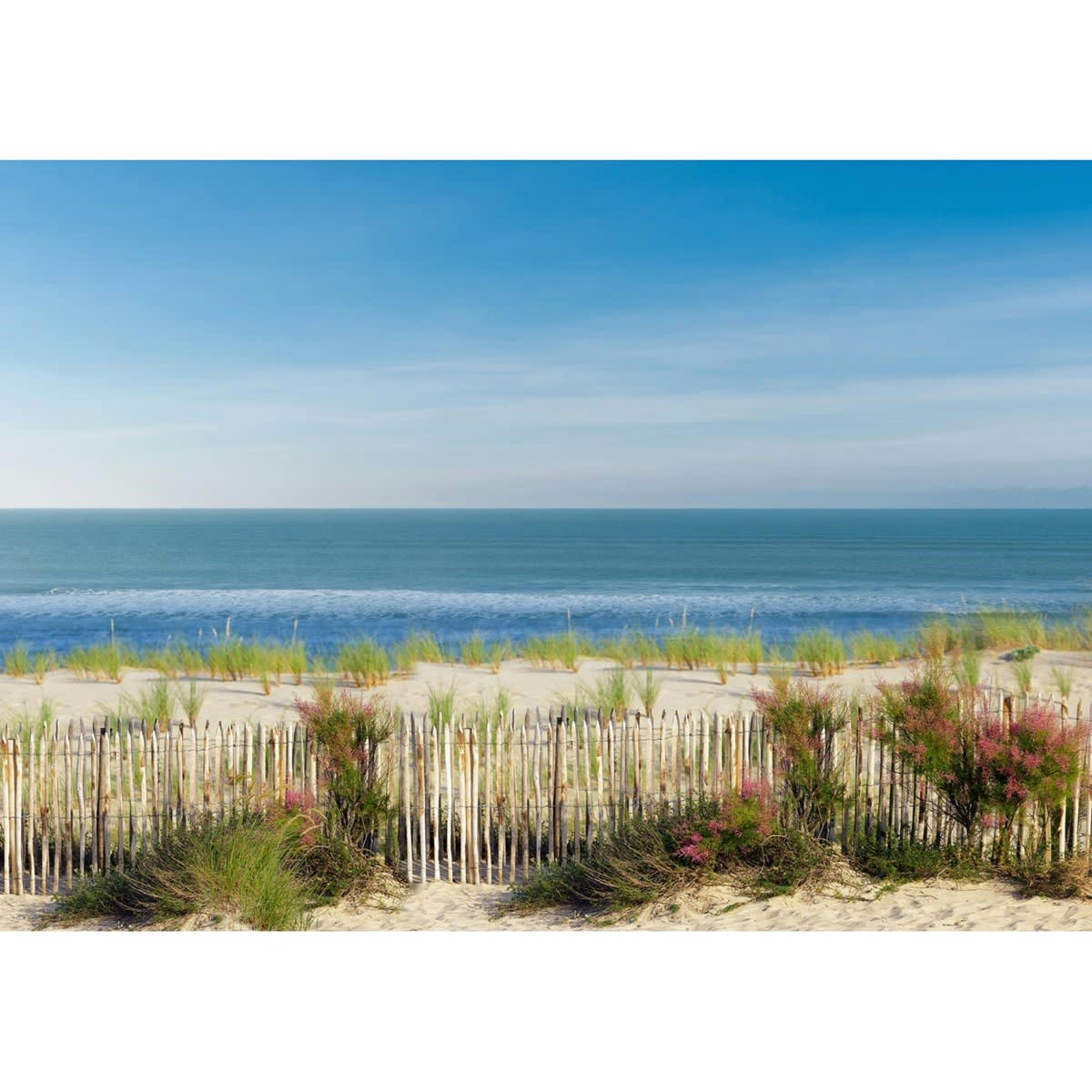 OLONNA - Papier peint panoramique en Papier Multicolore  384x270