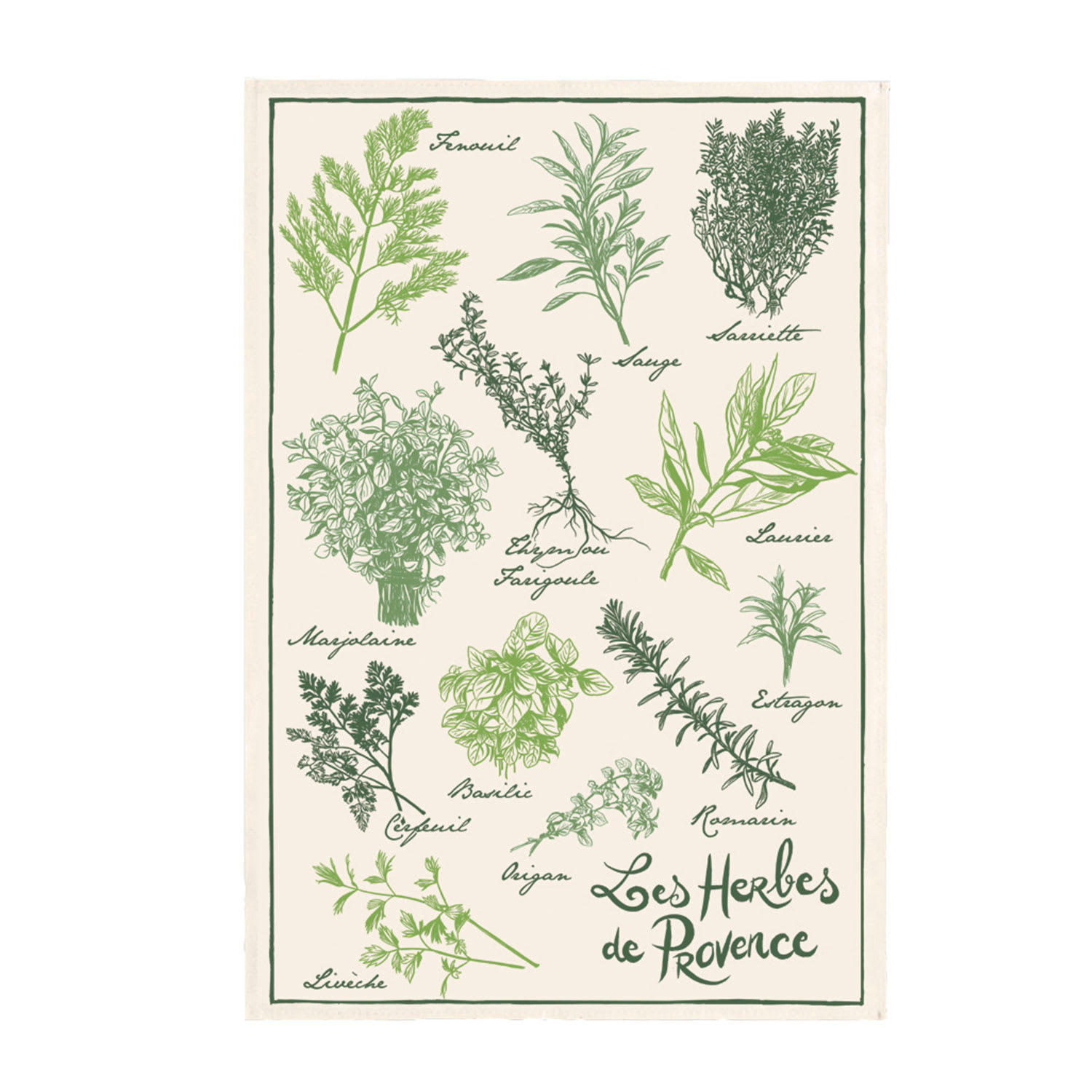 PROVENCE - COTE D'AZUR - Torchon les herbes de provence en coton ecru 48 x 72