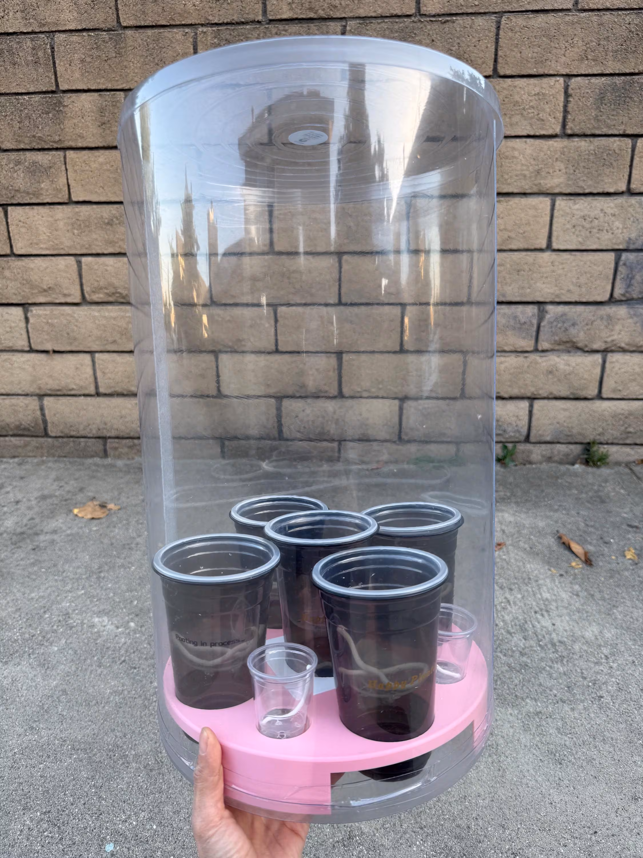 DIY Mobile Green House. 1 DIY size A with Tray & cups set. W28xH46cm