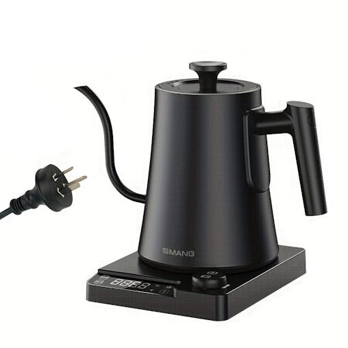 NNETM Electric Kettle Gooseneck Adjustable Temp (1200W)
