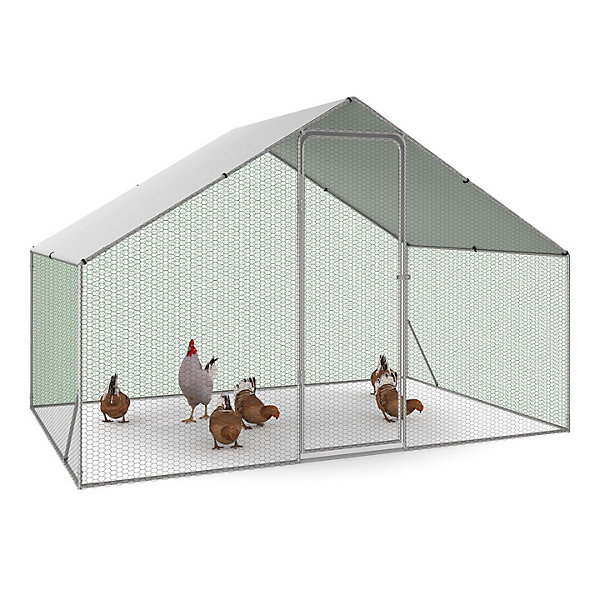 Enclos poulailler 6 m² parc grillagé 3x2 M acier galvanisé