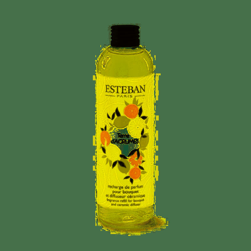 TERRE D'AGRUMES - Recharge bouquet 250ml