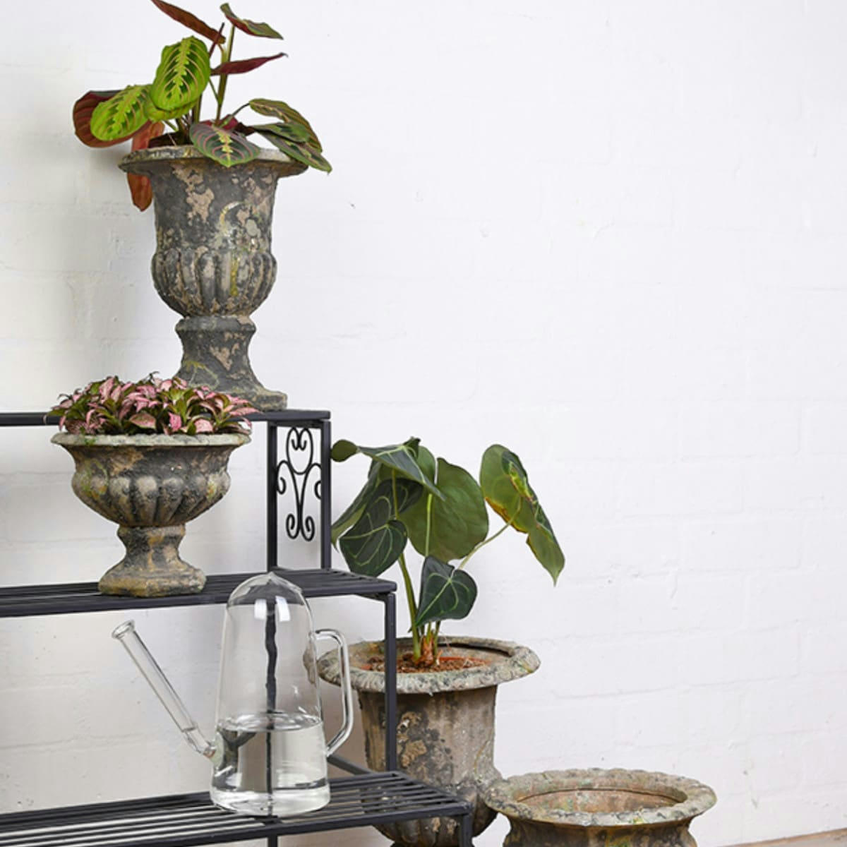 VERRE - Arrosoir d'intérieur en verre transparent 1,4L