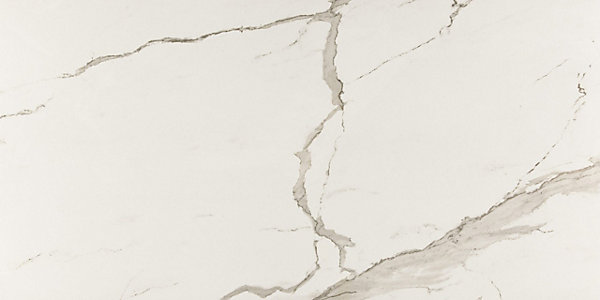Carrelage sol/mur intérieur effet MARBRE l.60 x L.120 cm ALBATROS
