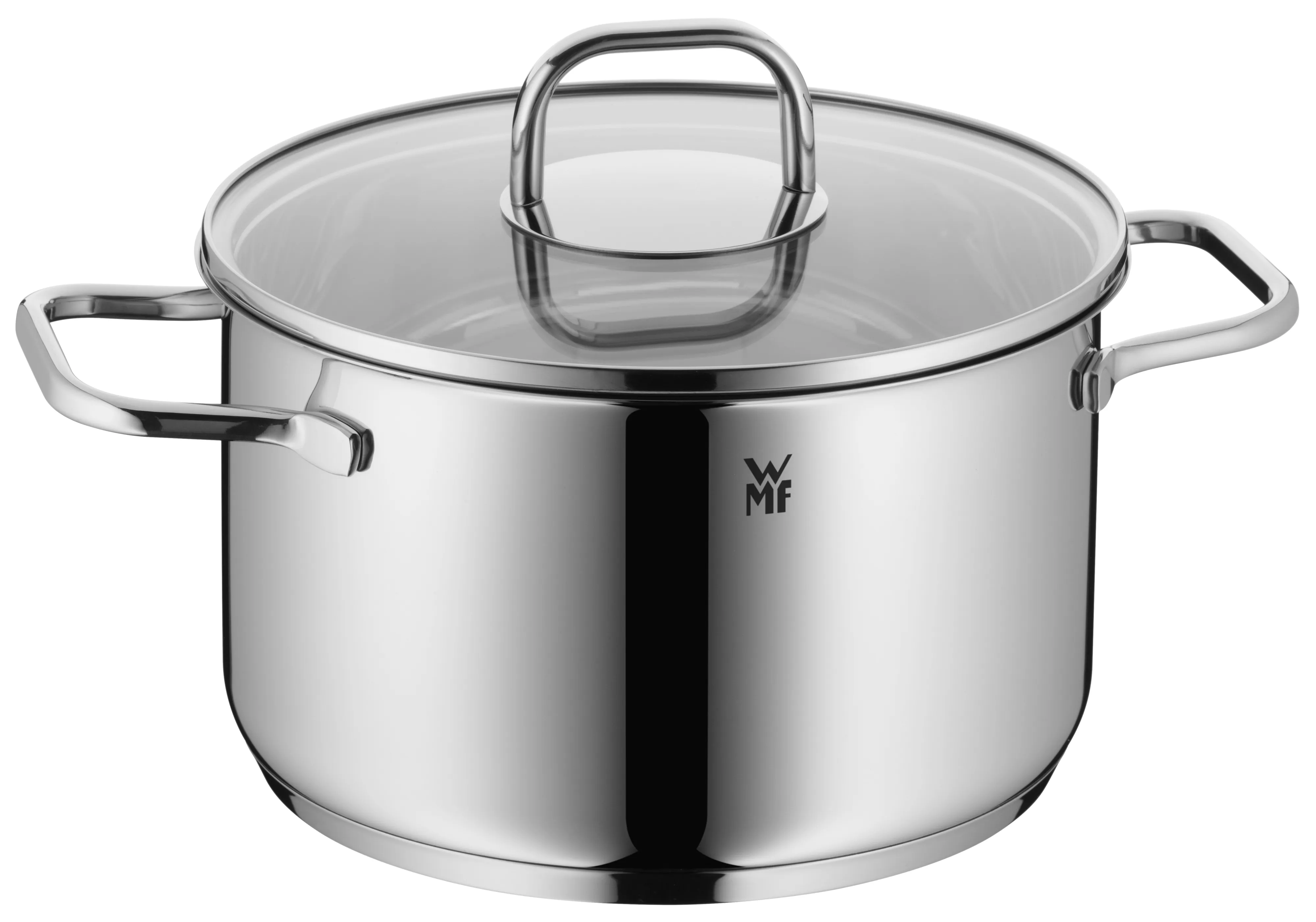 WMF Inspiration Soup Pot 20 cm with lid