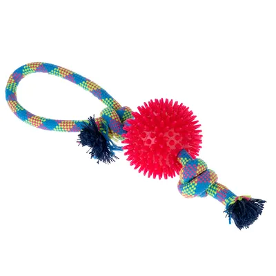 zooplus Basics Rope with Ball