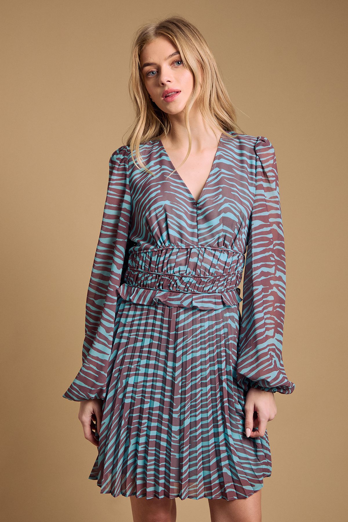 Oasis Printed Pleated Skirt Long Sleeve Mini Dress