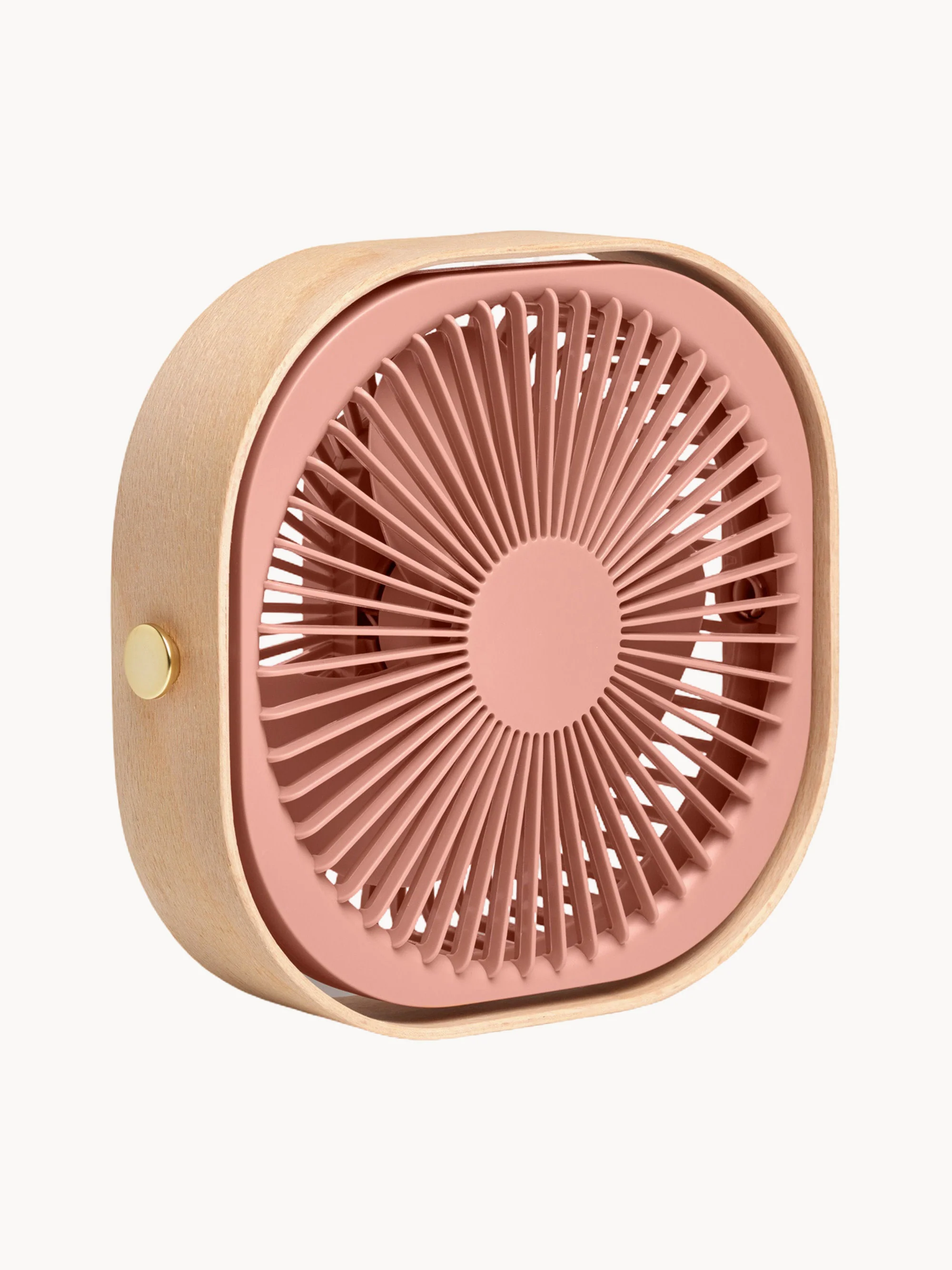 Mobiler Tischventilator Fantastic