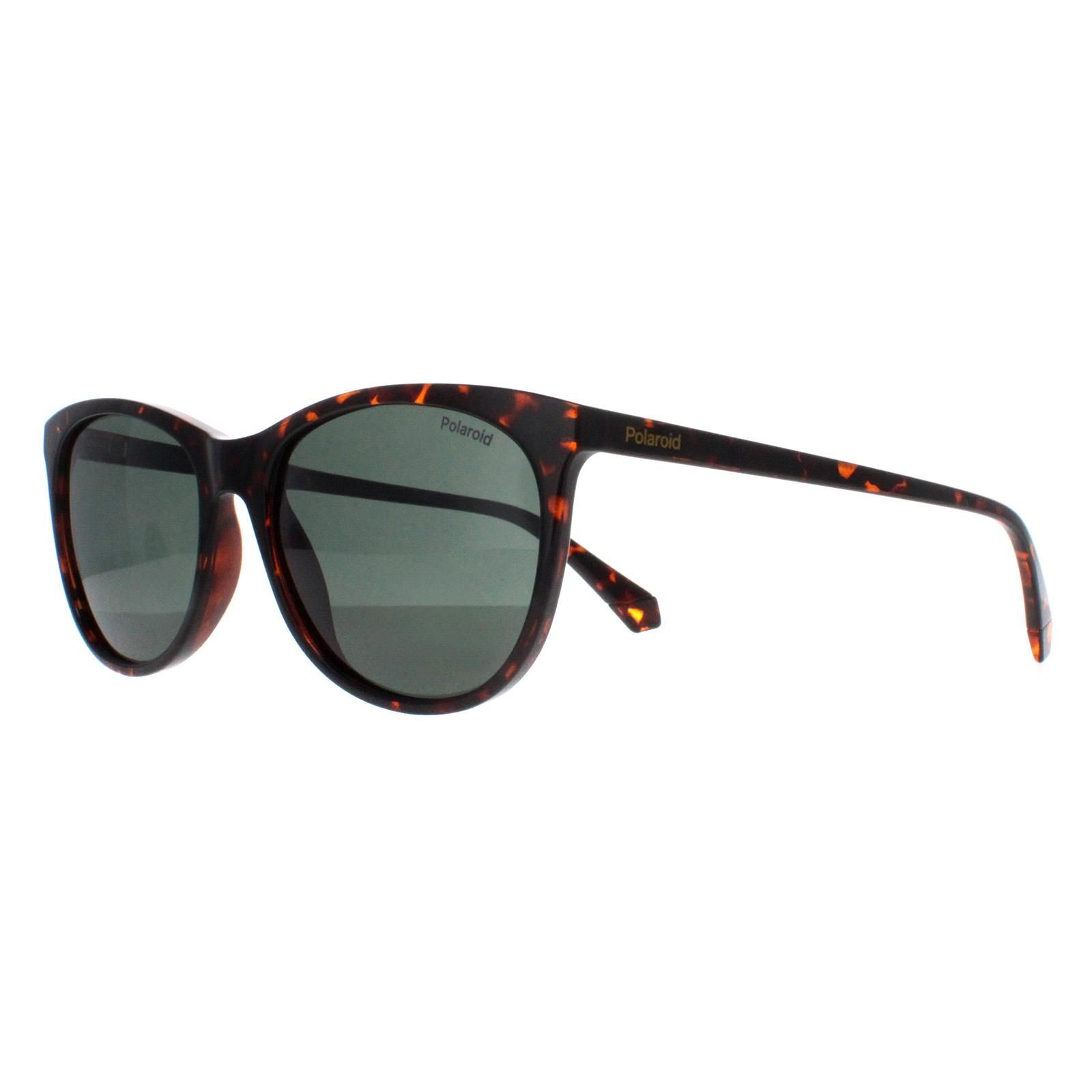 Polaroid Cat Eye Havana Green Polarized PLD 4161/S
