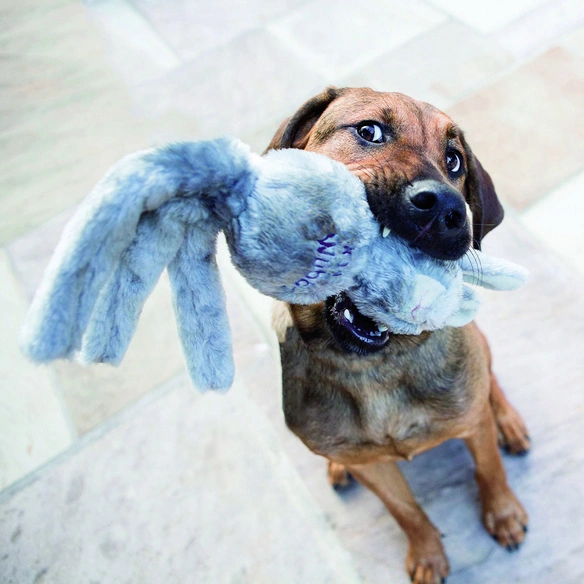 Hundespielzeug, mehrfarbig