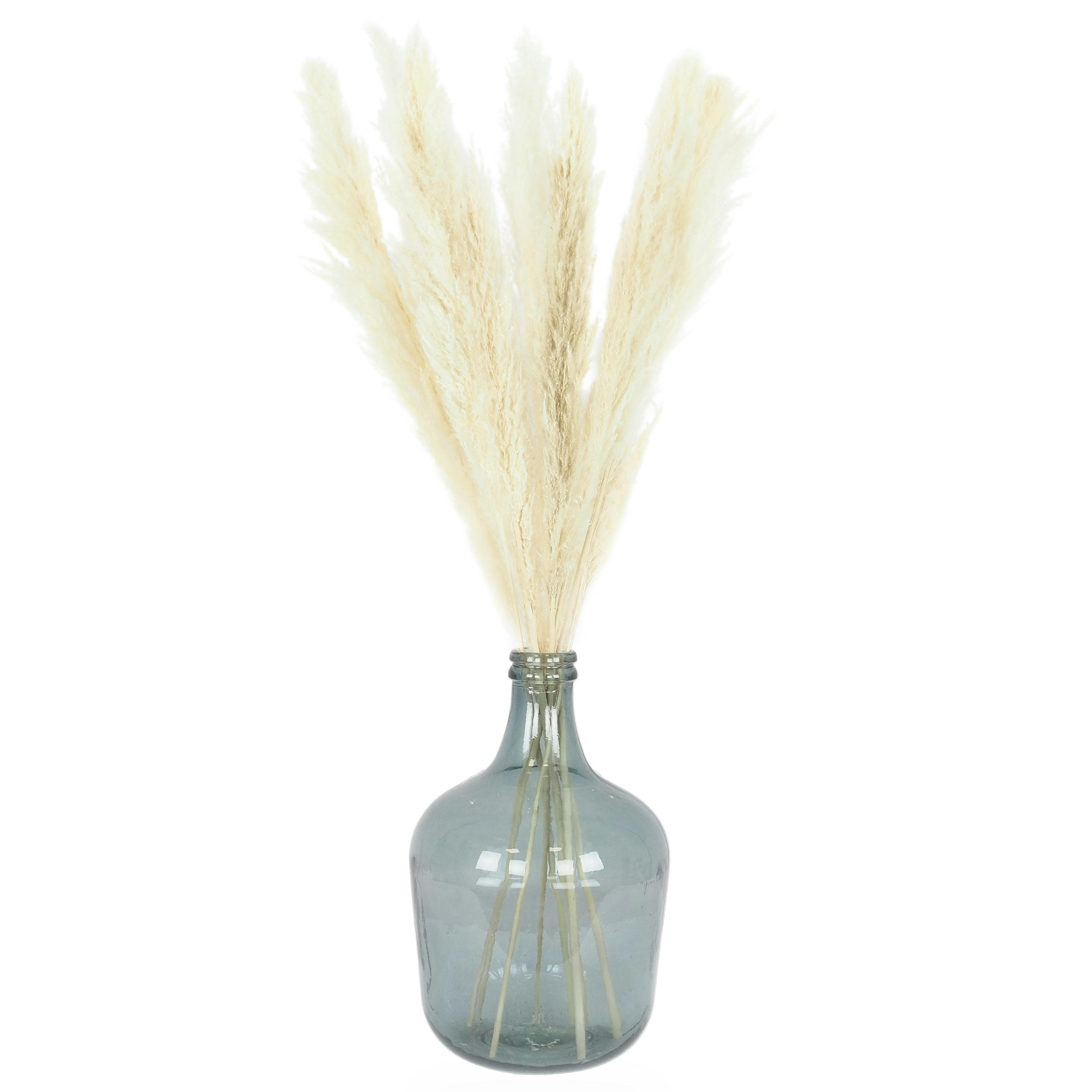 - Plumeau plante pampa lot de 6 naturel 105cm